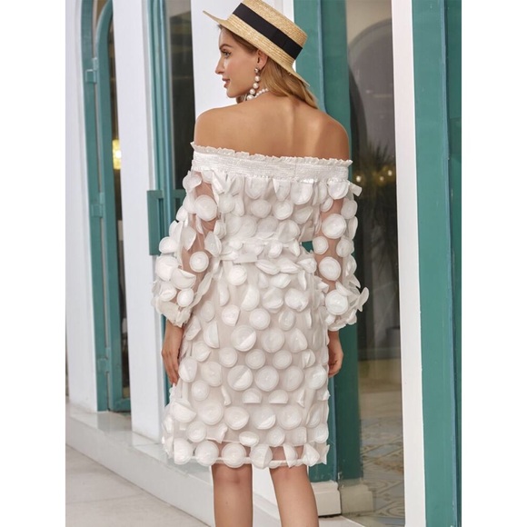 White Rose Petals Sheer Mesh Off Shoulder Dress - Picture 3 of 4